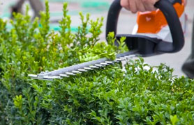 Estate Maintenance