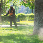McN, McNicol Ltd, McNicol Landscapes, professional garden service at work. lawn care North Wales. cutting an mowing grass in the park. spring summer season