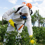 McNicol worker spraying organic pesticides on school premises.