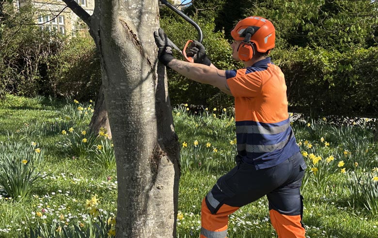 Estate Maintenance