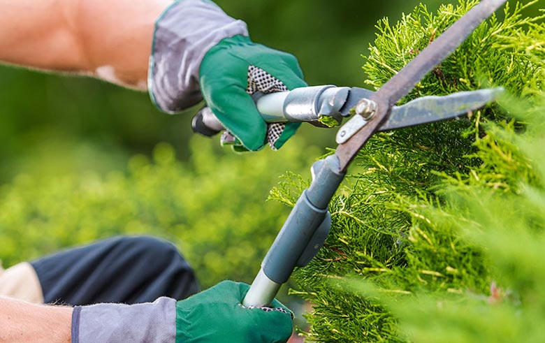 Grounds Maintenance
