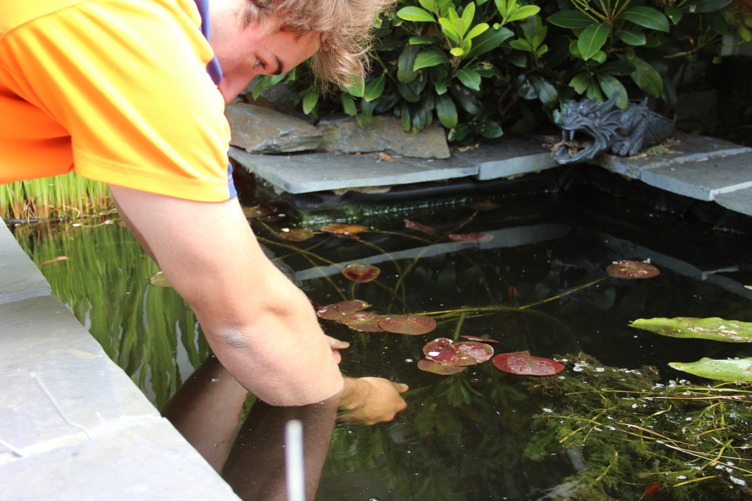 Clearing a pond