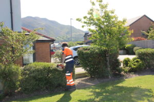 Hedge cutting